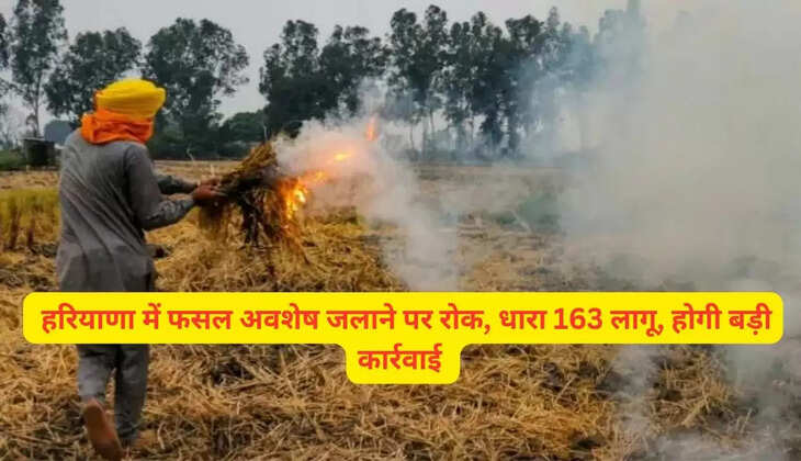   हरियाणा में फसल अवशेष जलाने पर रोक, धारा 163 लागू, होगी बड़ी कार्रवाई 