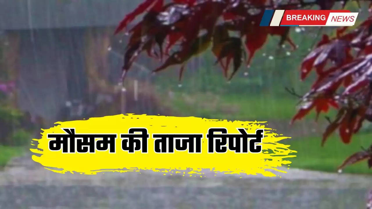  Haryana Rain Alert: हरियाणा में 3 दिन झमाझम बारिश की संभावना, देखें मौसम की ताजा रिपोर्ट