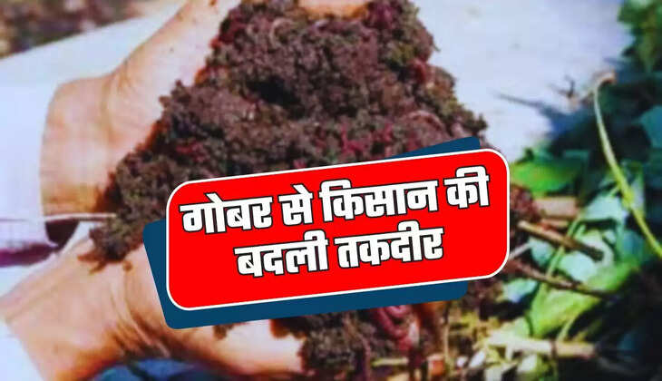 गोबर से किसान की बदली तकदीर, वर्मी कंपोस्ट तैयार कर कमा रहे ही लाखों रुपये  