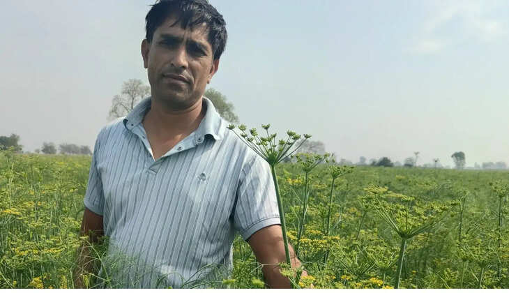 Sirsa farmer Satbir Dehdoo sowed fennel instead of traditional crops, becoming an example for other farmers