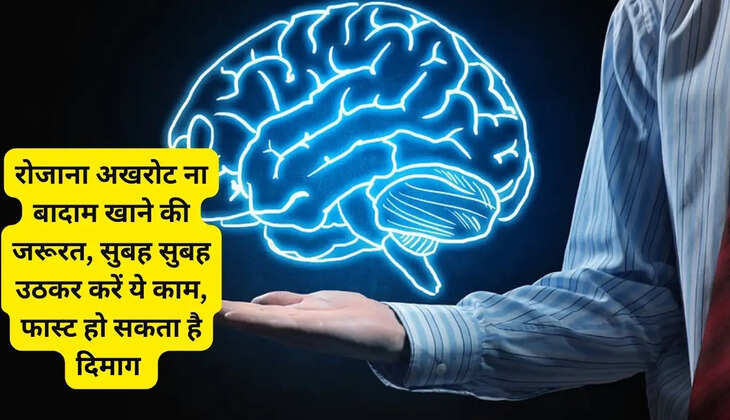  There is no need to eat walnuts or almonds every day, do this work after waking up in the morning, your brain can become fast