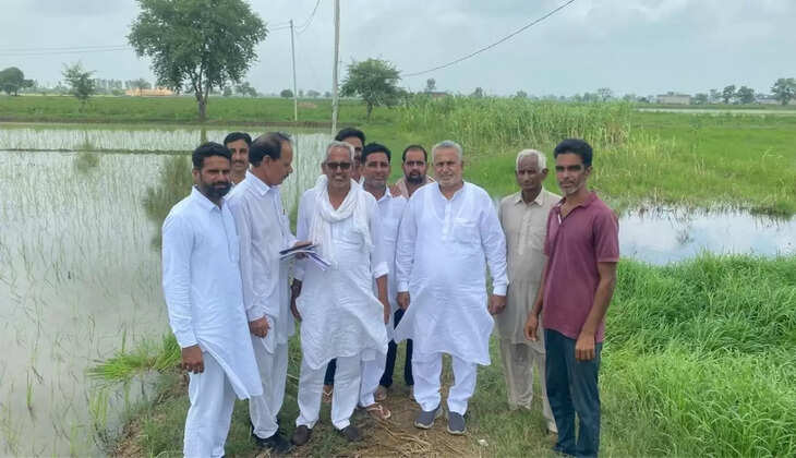  Ellenabad MLA Bharat Singh Beniwal visited the rain-affected villages and said that farmers should get compensation
