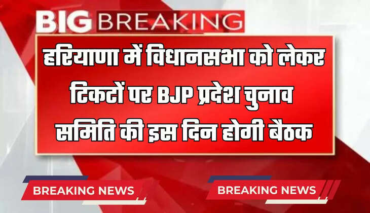  Haryana: हरियाणा में विधानसभा को लेकर टिकटों पर BJP प्रदेश चुनाव समिति की इस दिन होगी बैठक