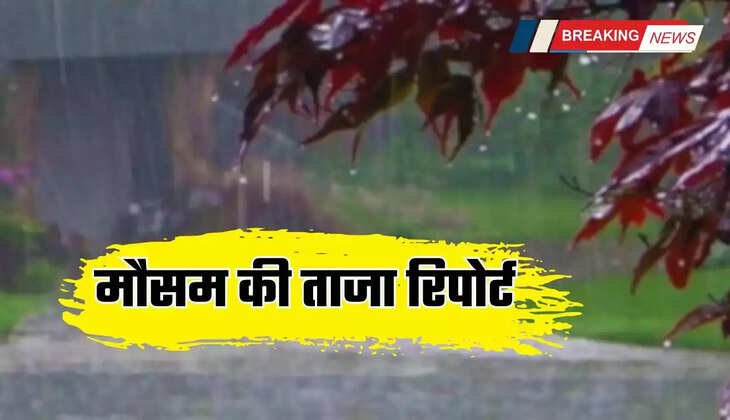  हरियाणा, दिल्ली और पंजाब समेत आज इन राज्यों में होगी भारी बरसात, अलर्ट जारी