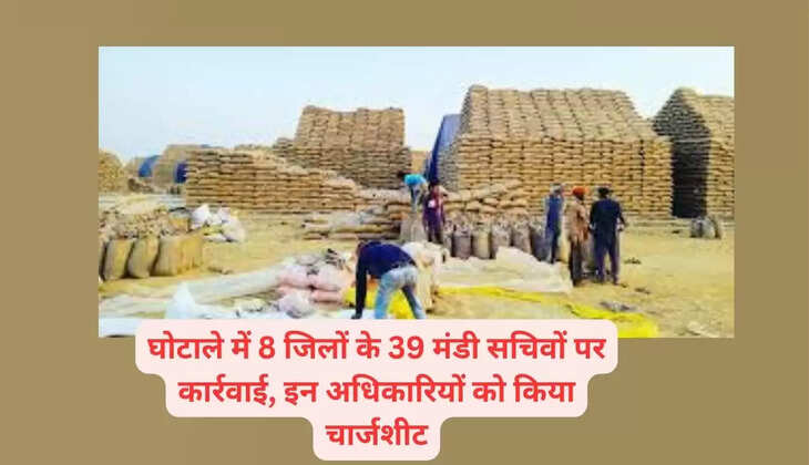 Paddy scam in Haryana: Action taken against 39 Mandi secretaries from 8 districts in the scam, these officers chargesheeted