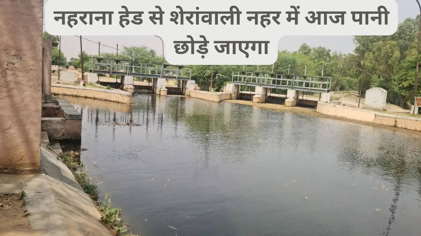 Water will come in Sheranwali canal today, supplying water to Jal Ghar will be a priority