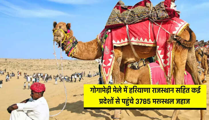  गोगामेड़ी मेले में हरियाणा राजस्थान सहित कई प्रदेशों से पहुंचे 3785 मुरूस्थल जहाज, 80 हजार से अधिक रेट में बिका जहाज