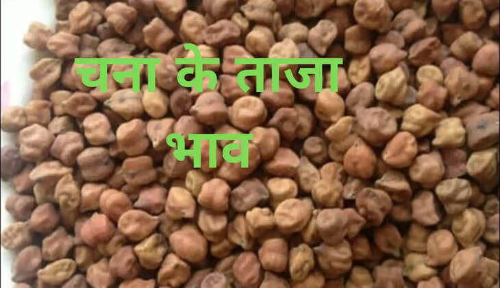 चना में उछाल: हरियाणा, राजस्थान की अनाज मंडियों में इस रेट से बिक रहा है चना