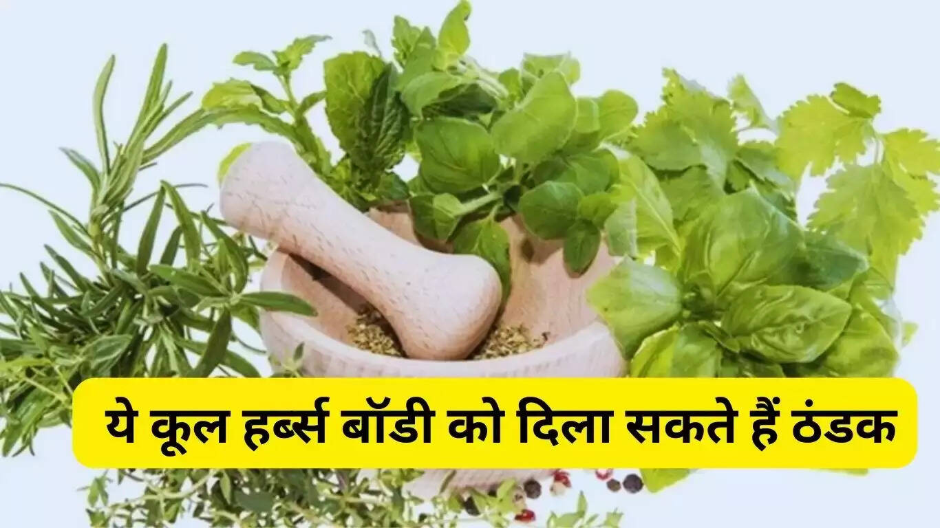 Adopt these 6 things to avoid acidity, if you have stomach problem then eat these and you will get relief