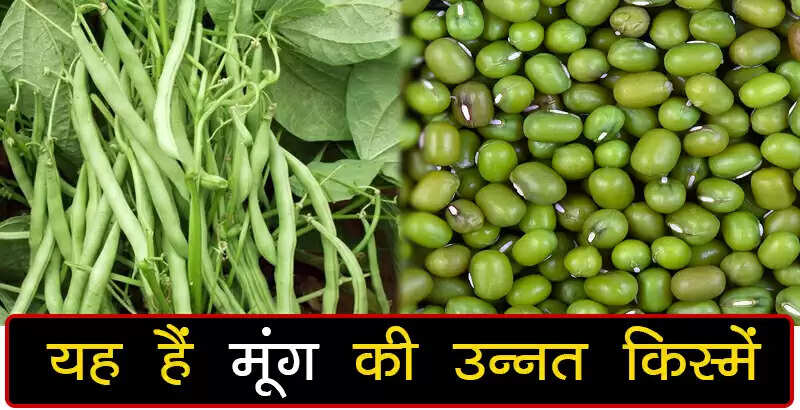mahendra india news