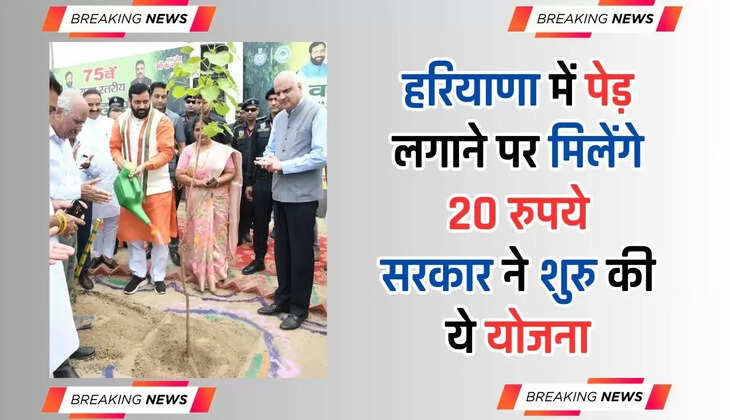  Haryana Govt scheme: हरियाणा में पेड़ लगाने पर मिलेंगे 20 रुपये, सरकार ने शुरु की ये योजना, जाने जल्दी ​​​​​​​