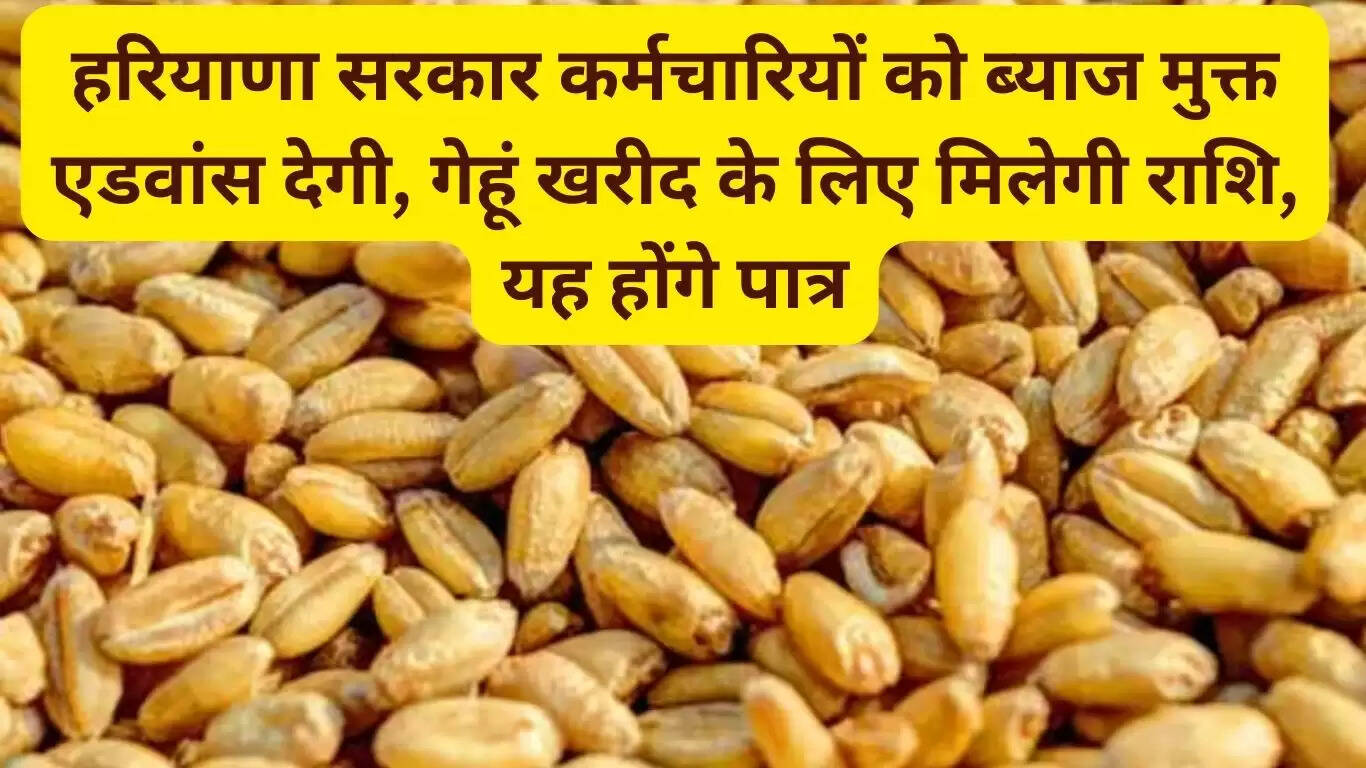 Haryana government will give interest free advance to employees, money will be given for purchasing wheat, these people will be eligible