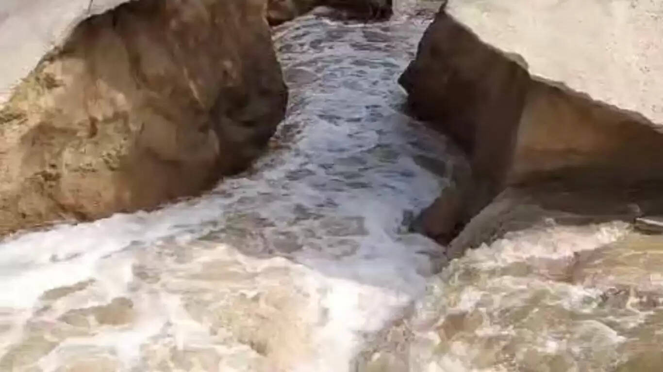 Sheranwali canal broke in Sirsa district, irrigation department officials reached the spot