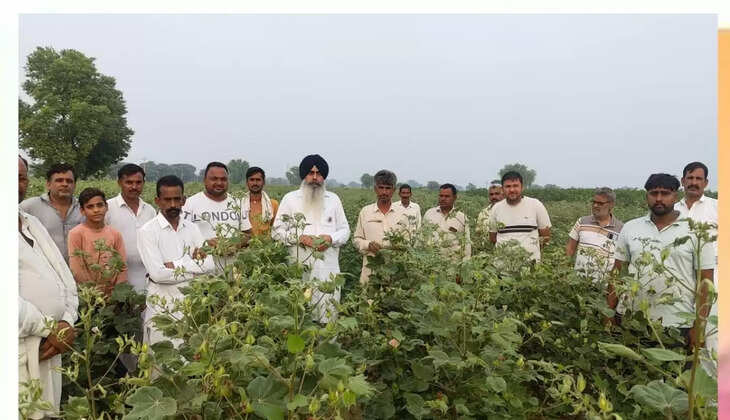 FMC company's spray machine destroyed 3 acres of cotton crop of a farmer: Lakhwinder Singh Aulakh