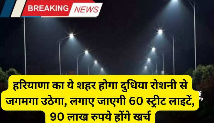 This city of Haryana will shine with milky light, 60 street lights will be installed, Rs 90 lakh will be spent