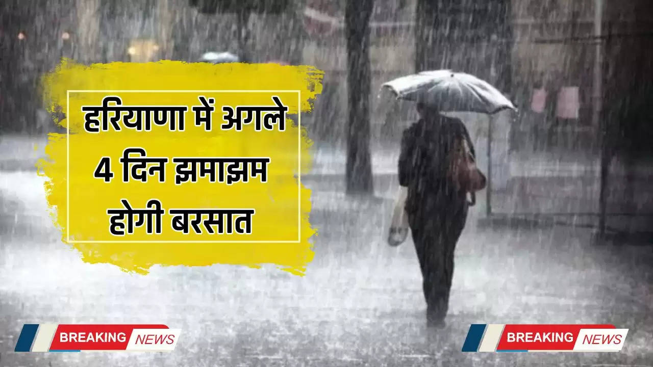  हरियाणा में अगले 4 दिन झमाझम होगी बरसात, IMD ने इन शहरों में येलो अलर्ट किया जारी