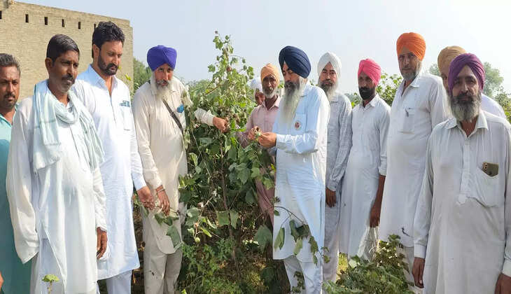 कृषि विभाग की वेबसाइट पर करें इस तिथि तक पंजीकरण