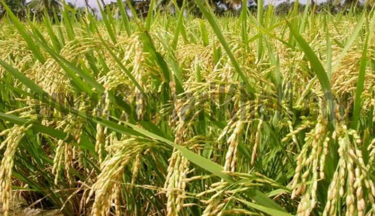 वित्त मंत्रालय ने जारी कर दिया है नोटिफिकेशन