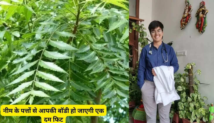 नीम के पत्तों से आपकी बॉडी हो जाएगी एक दम फिट