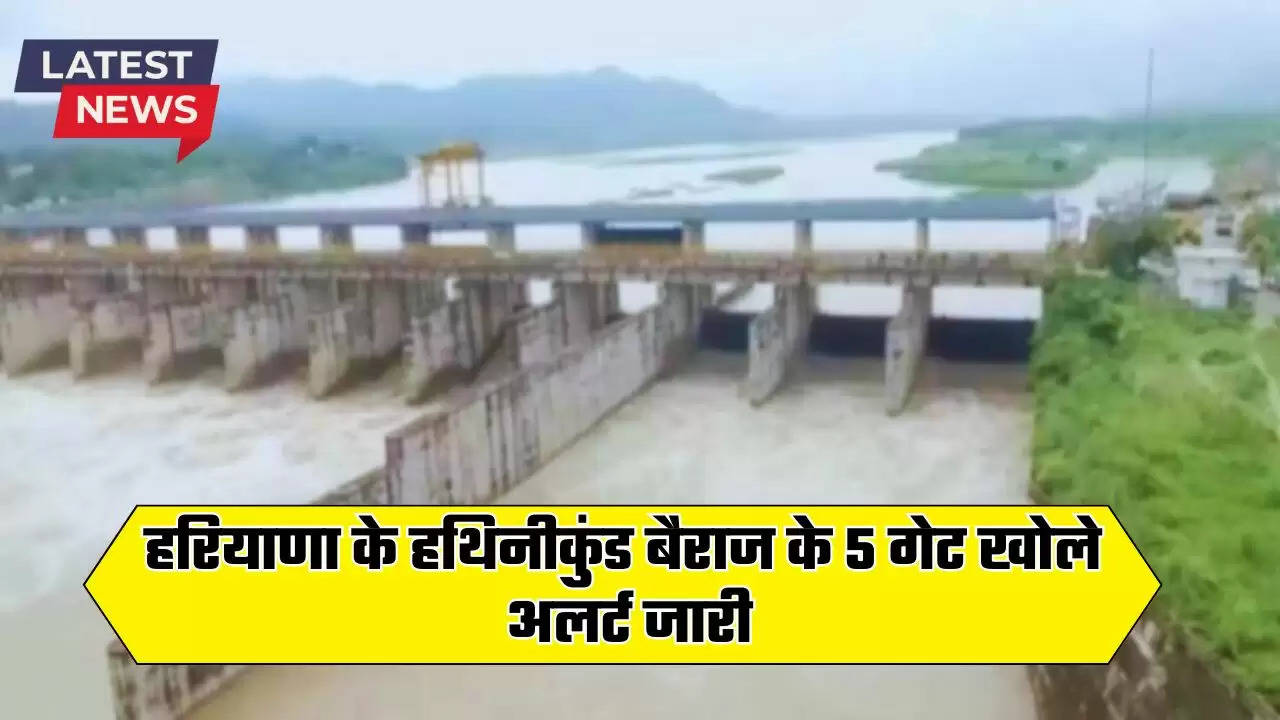  Hathnikund Barrage Water: हरियाणा के हथिनीकुंड बैराज के 5 गेट खोले, दिल्ली में उफनता हुआ आएगा पानी, अलर्ट जारी