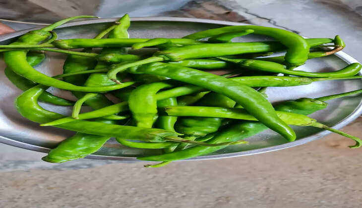 ज्यादा हरी मिर्च खाने के ये हैं नुकसान 