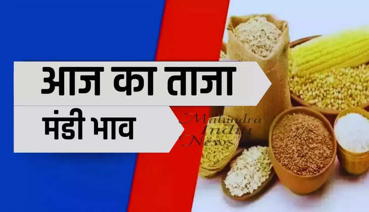 Narma, cotton, mustard and guar were sold at this rate in Sirsa grain market of Haryana on 9 July 2024