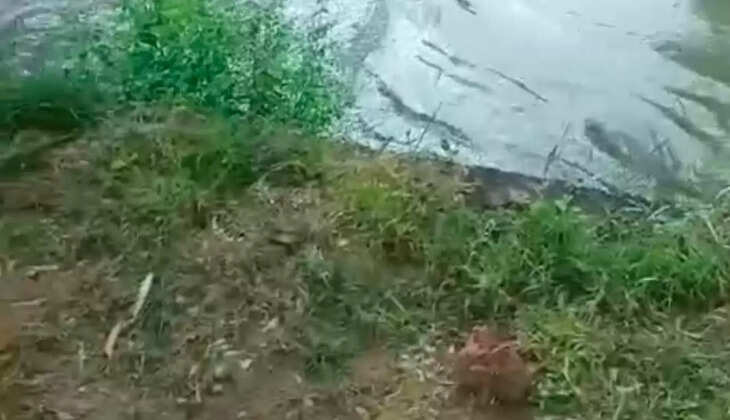  Varuwali canal breaks in Chaupata area, flooding 200 acres of land