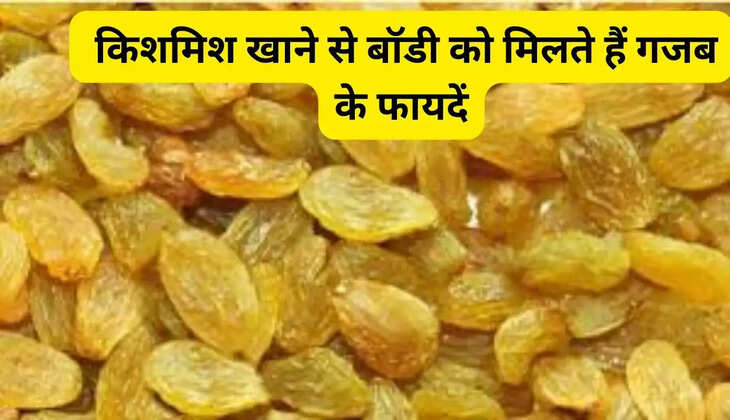 किशमिश खाने से बॉडी को मिलते हैं गजब के फायदें,
