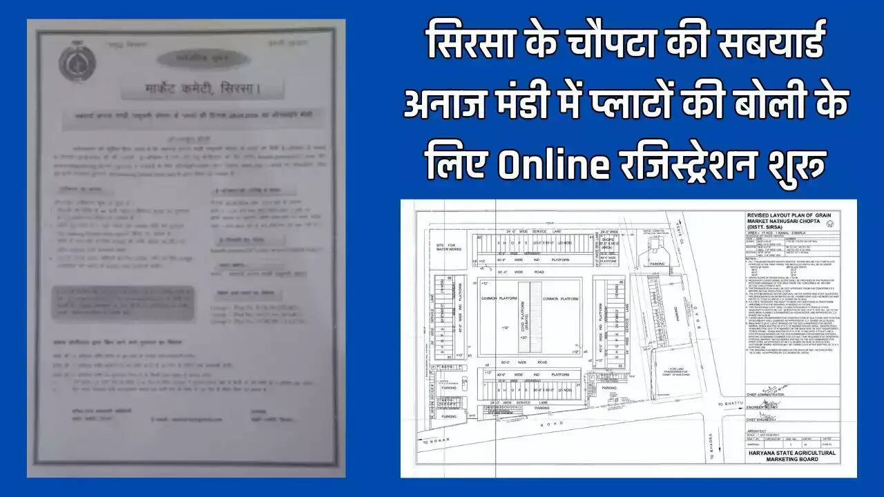 Bid for plots in the Chaupata Subyard Grain Market in Sirsa will be held on September 29, 2025. Online registration has begun. Know the process