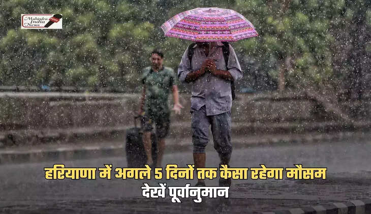 Weather will be like this in Haryana, Rajasthan, know the latest weather report