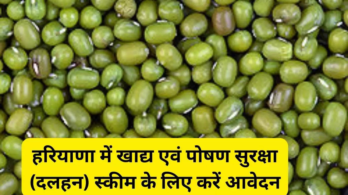 Apply for Food and Nutrition Security Scheme in Haryana, farmers can avail benefits like this