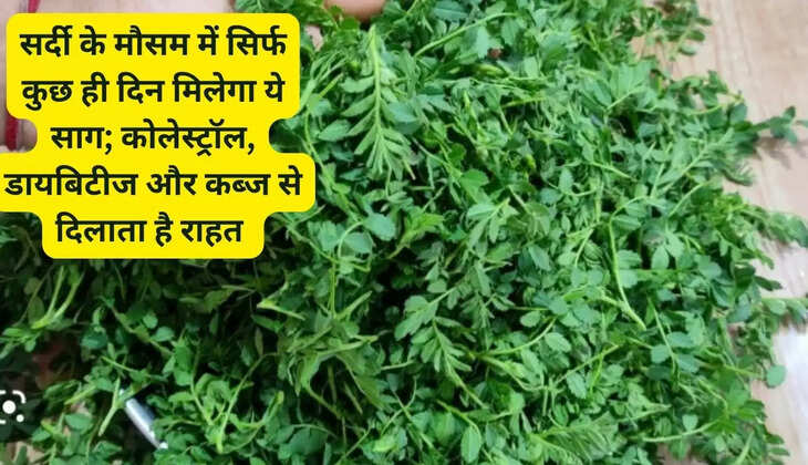 These greens will be available only for a few days in the winter season; Provides relief from cholesterol, diabetes and constipation