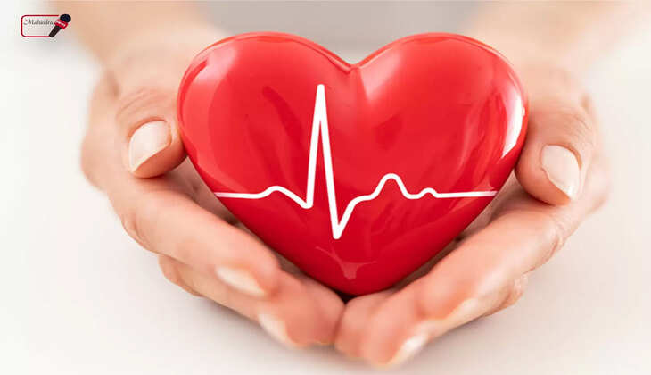 सर्दियों के मौसम में लोगों को दिल की बीमारियों का खतरा अधिक होता है