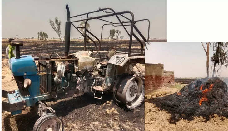 सुभाष श्योराण, छोटू राम श्योराण इनके भाई हैं