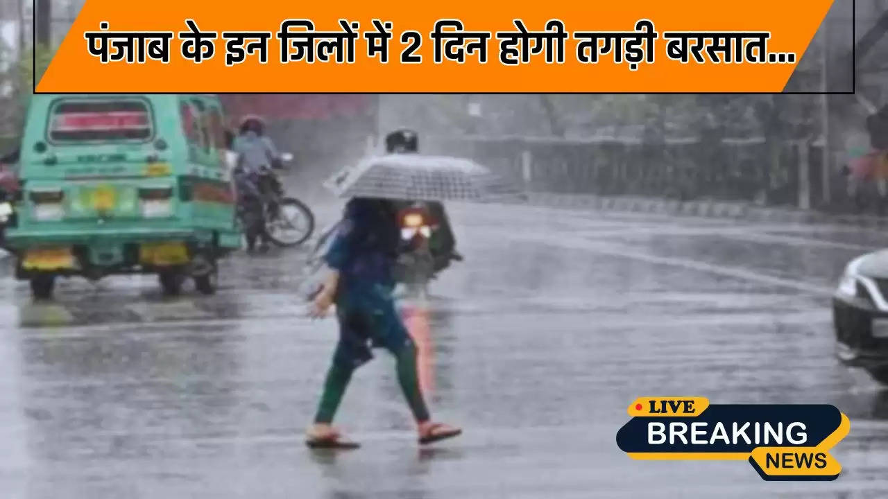  पंजाब के इन जिलों में 2 दिन होगी तगड़ी बरसात, मौसम विभाग ने जारी किया ऑरेंज-येलो अलर्ट