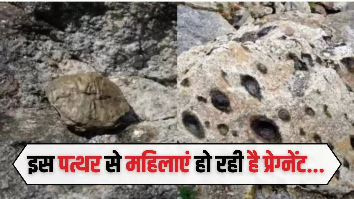  Hindi News: इस पत्थर से महिलाएं हो रही है प्रेग्नेंट...जानिए इसके पीछे का राज 
