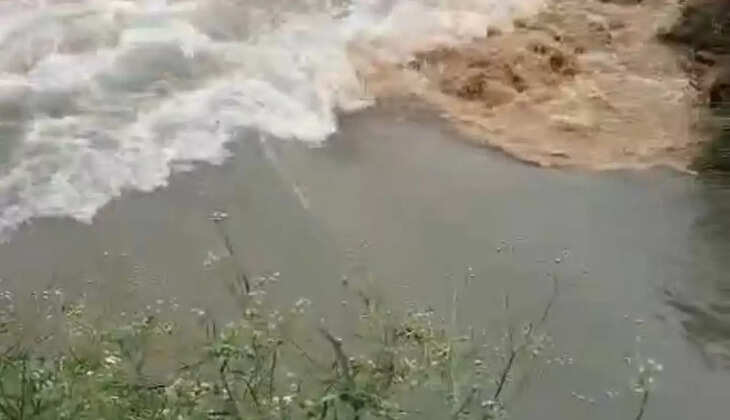 Sheranwali canal broke, cotton and guar crops got submerged, irrigation department employees reached the spot