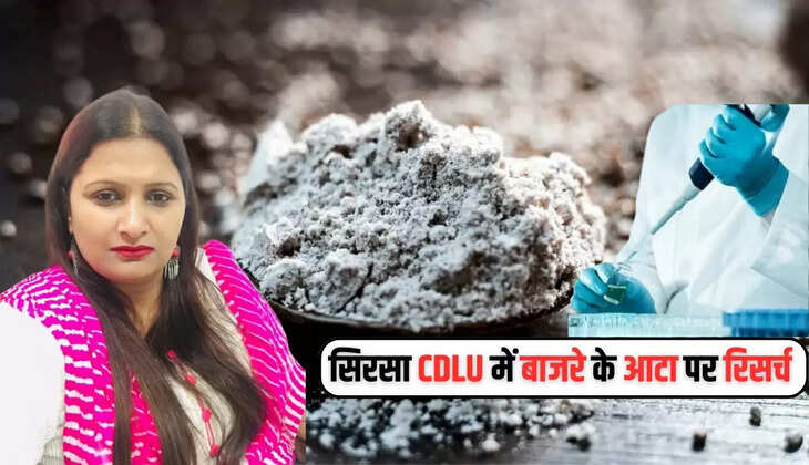  बाजरे का आटा अब महीने भर नहीं होगा खराब, सिरसा CDLU में बाजरे के आटा पर की गई रिसर्च 