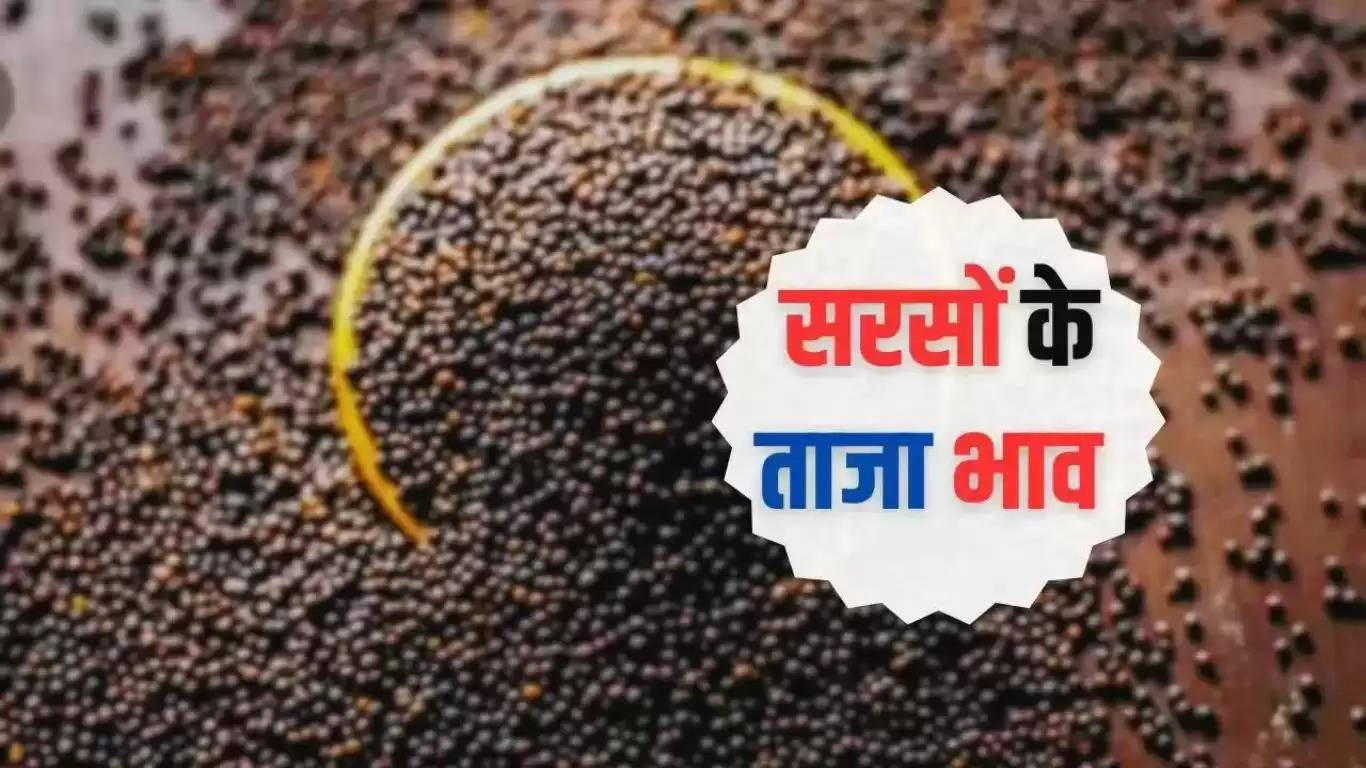 Mustard was sold at this rate in the grain markets of Haryana, Rajasthan and other states on June 29