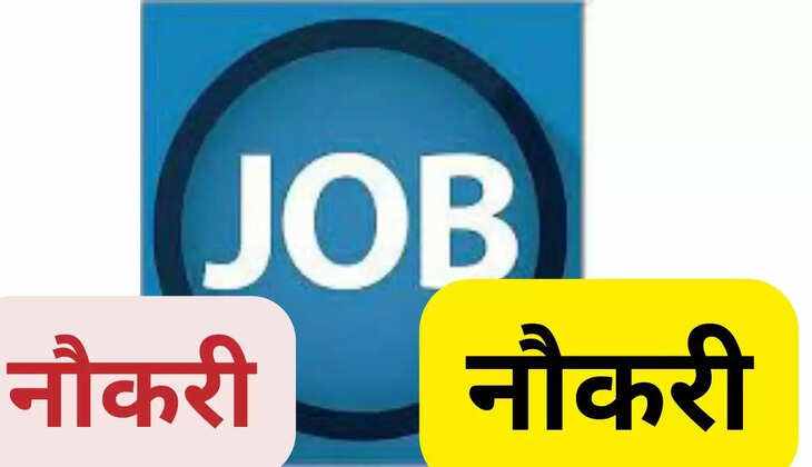 Jobs for 12th pass in Rajasthan High Court, know the complete application process and eligibility