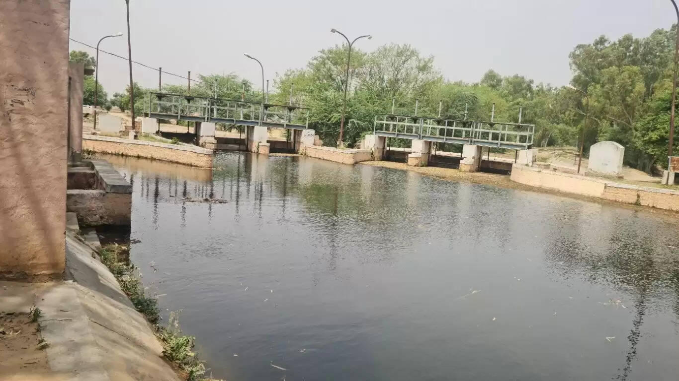 चौपटा क्षेत्र की नहरों में आया पानी, देखे किस नहर में कितने क्यूसेक छोड़ा गया पानी 