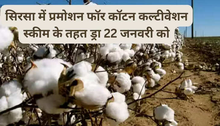 Draw under Promotion for Cotton Cultivation Scheme in Sirsa on 22 January