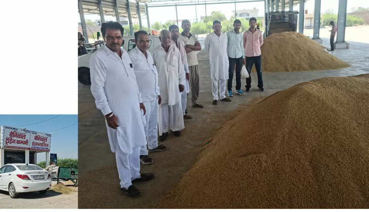 Purchase of 6963 metric tons of paddy in the markets of Sirsa district of Haryana