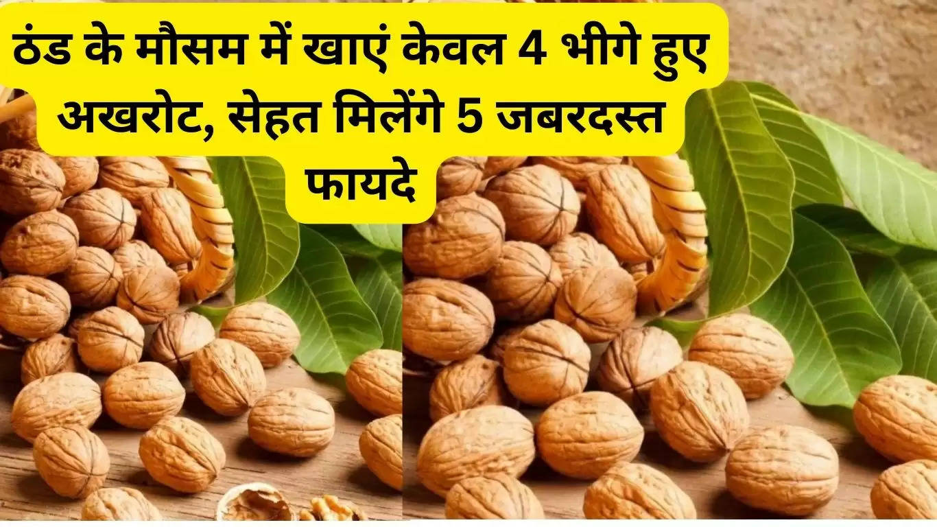 Eat only 4 soaked walnuts in cold weather, you will get 5 tremendous health benefits