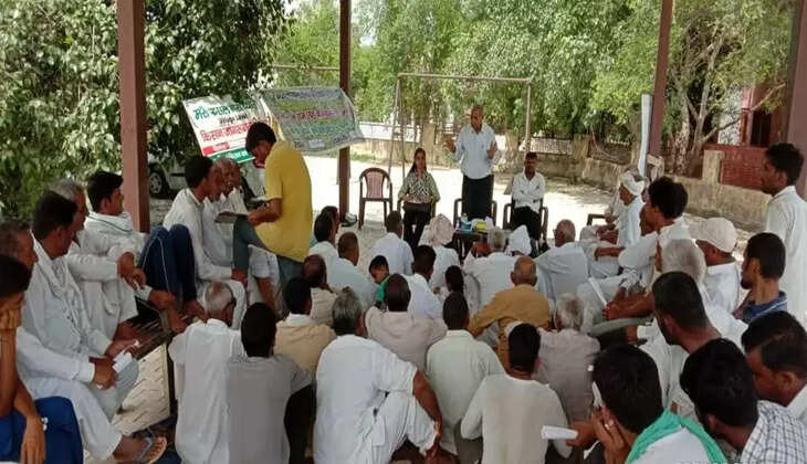 ग्वार में फंगस की बीमारी की रोकथाम के लिए ये करें किसान 