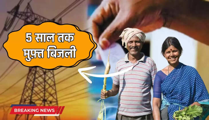 इन धरतीपुत्रों को 5 वर्ष तक मिलेगी निशुल्क बिजली, इस प्रदेश सरकार ने दिया मोटा तोहफा