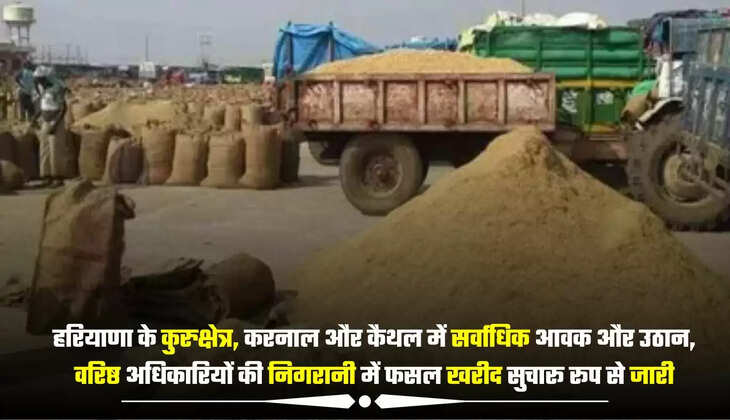 हरियाणा के कुरुक्षेत्र, करनाल और कैथल में सर्वाधिक आवक और उठान, वरिष्ठ अधिकारियों की निगरानी में फसल खरीद सुचारू रूप से जारी