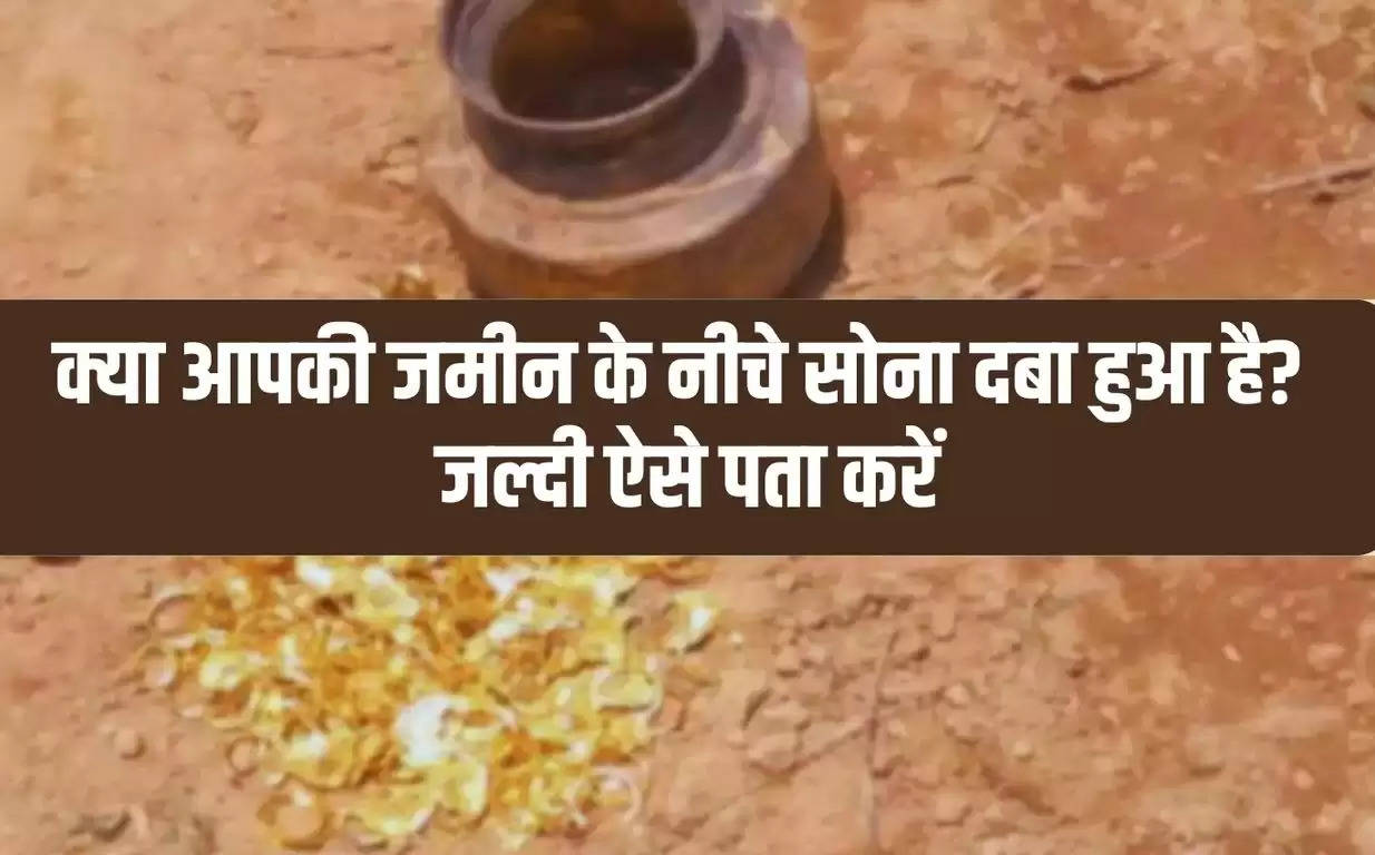 Hindi News: क्या आपकी जमीन के नीचे सोना दबा हुआ है? जल्दी ऐसे पता करें