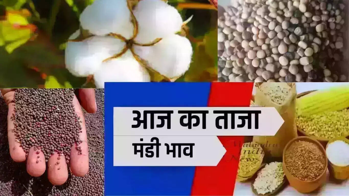 Narma, cotton, mustard and guar were sold at this rate in Sirsa grain market of Haryana on May 1, 2025