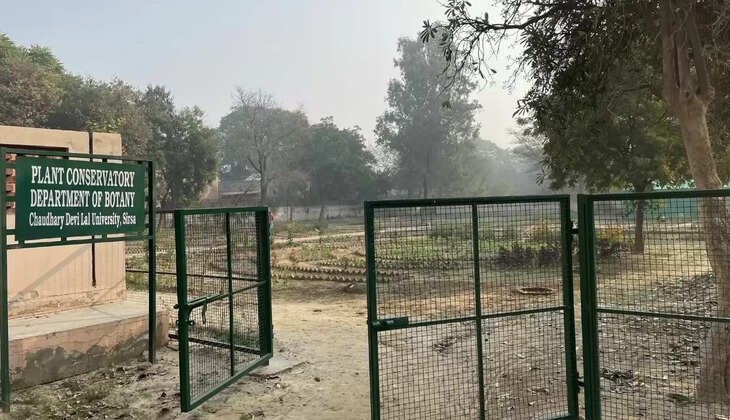 15 students of Botany Department of Sirsa CDLU brought laurels to the country by passing the exams of CISR, NET, JRF and GATE at the national level